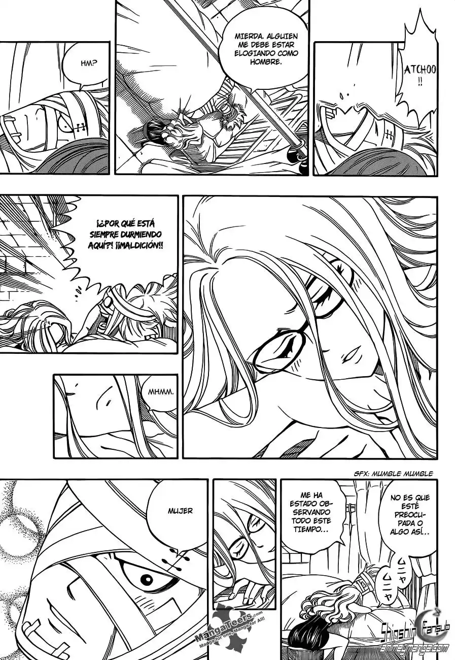 Fairy Tail Capitulo 290 página 15