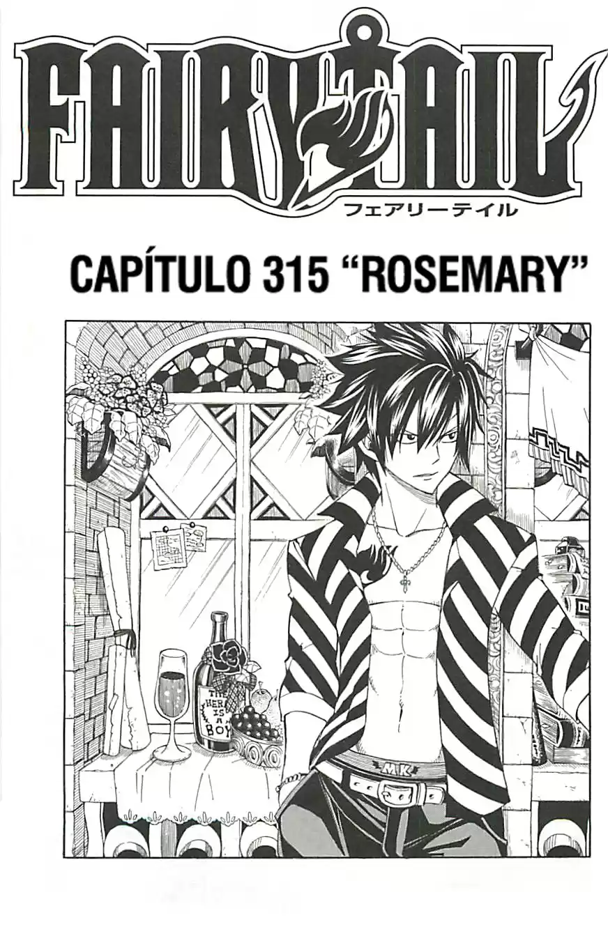 Fairy Tail Capitulo 315 página 1