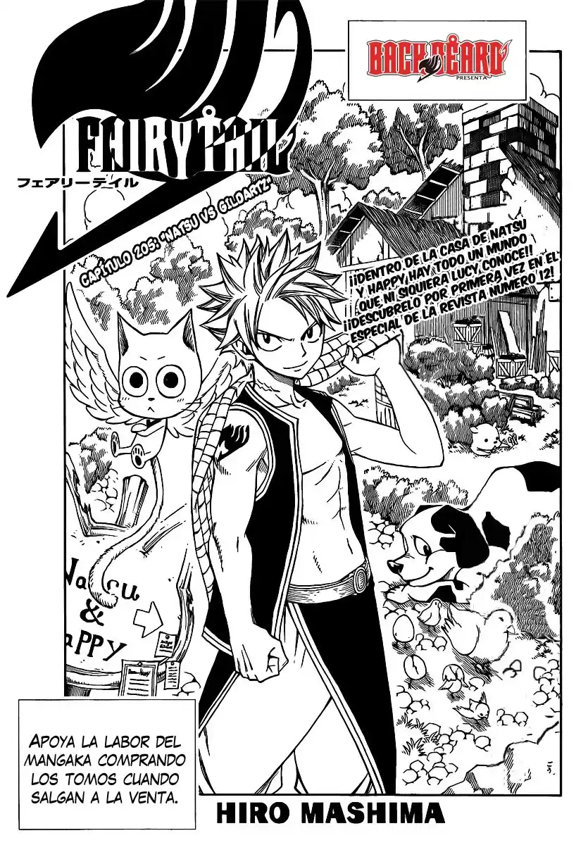 Fairy Tail Capitulo 205 página 1