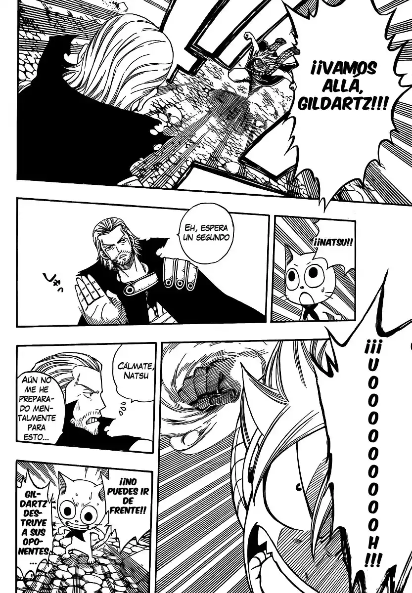 Fairy Tail Capitulo 205 página 8