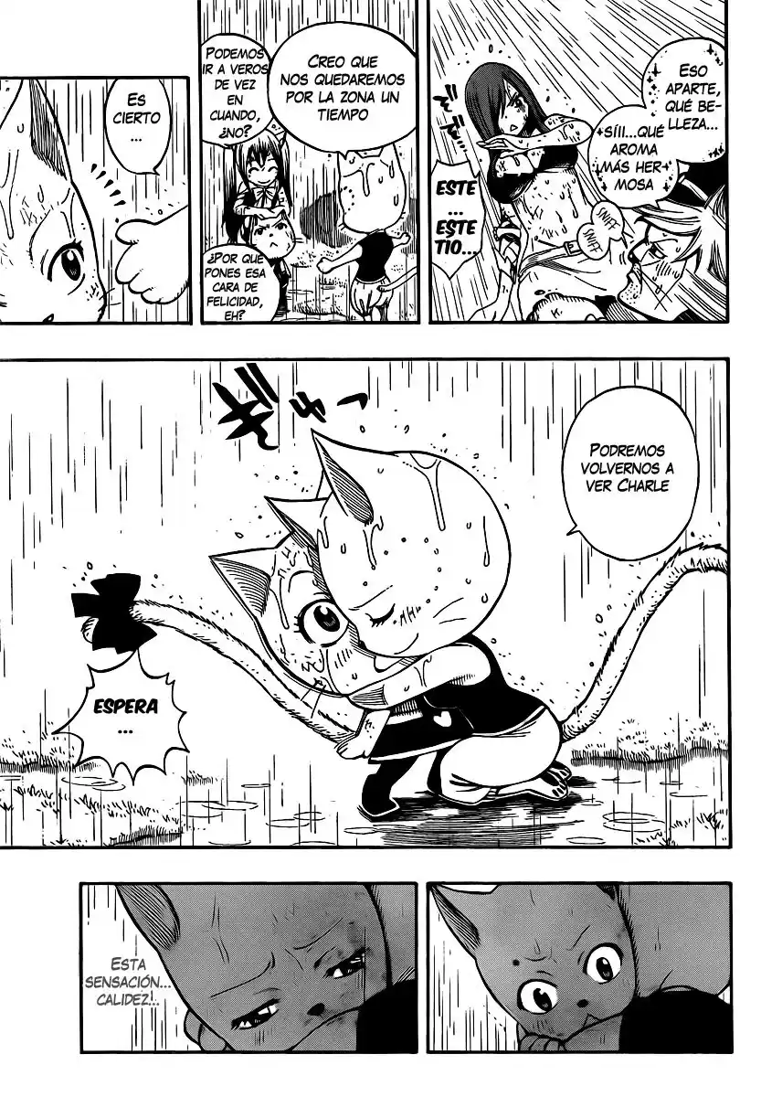 Fairy Tail Capitulo 198 página 13