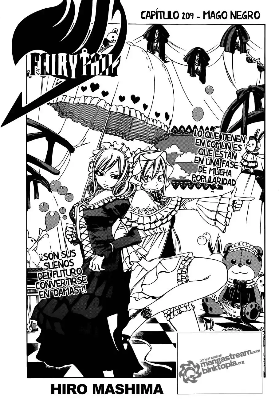 Fairy Tail Capitulo 209 página 1