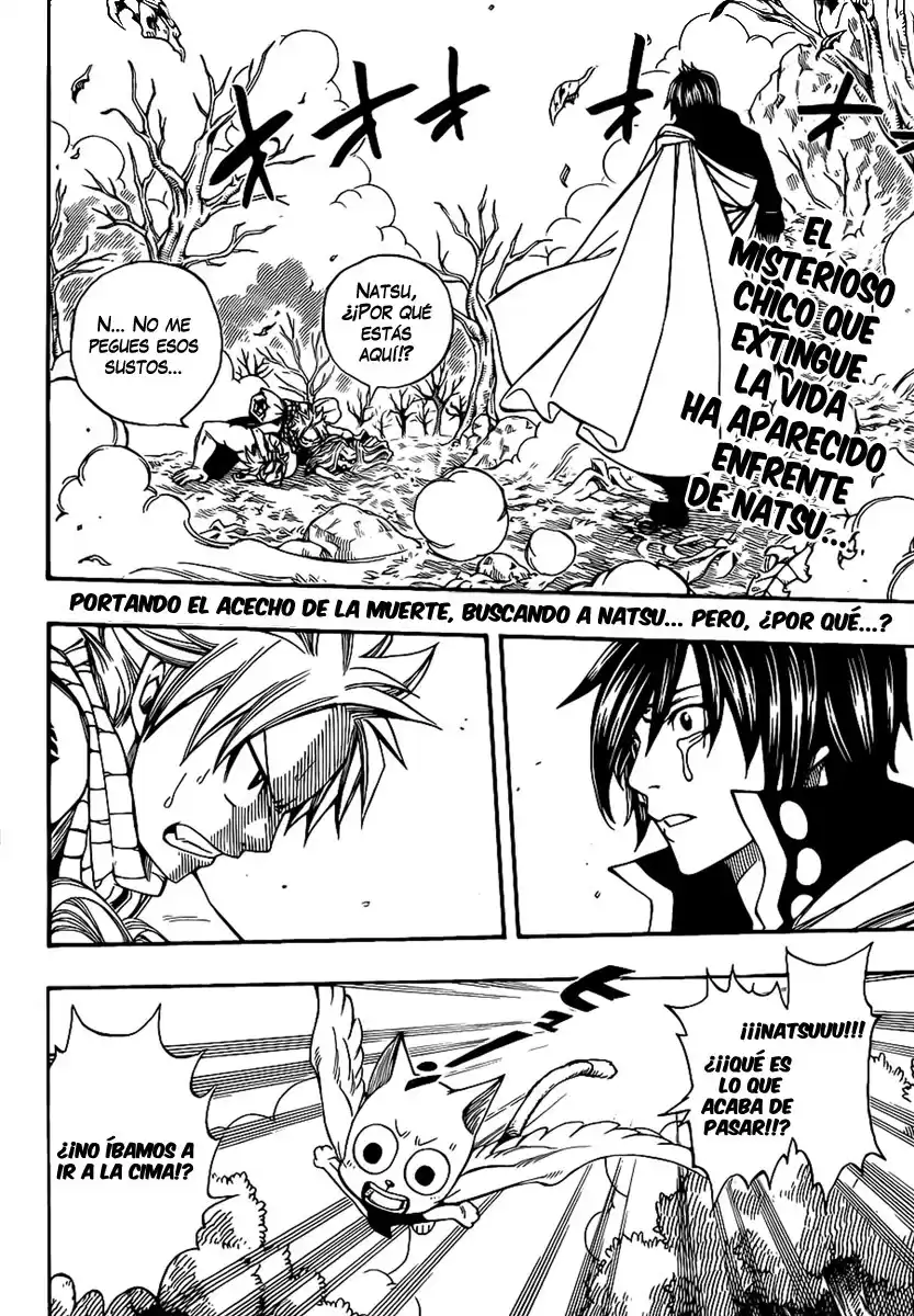 Fairy Tail Capitulo 209 página 2