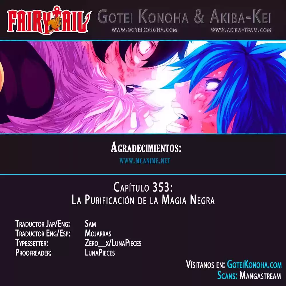 Fairy Tail Capitulo 353 página 1