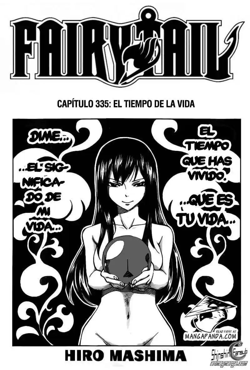 Fairy Tail Capitulo 335 página 2