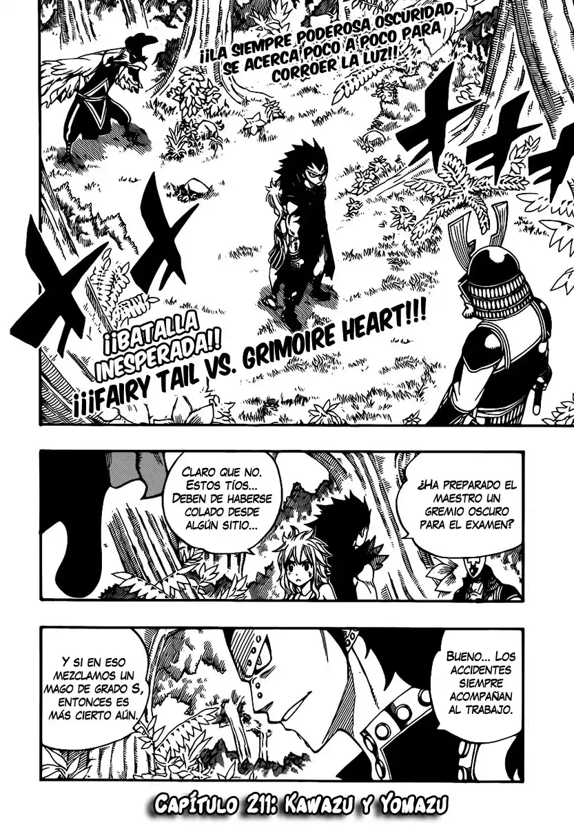 Fairy Tail Capitulo 211 página 2