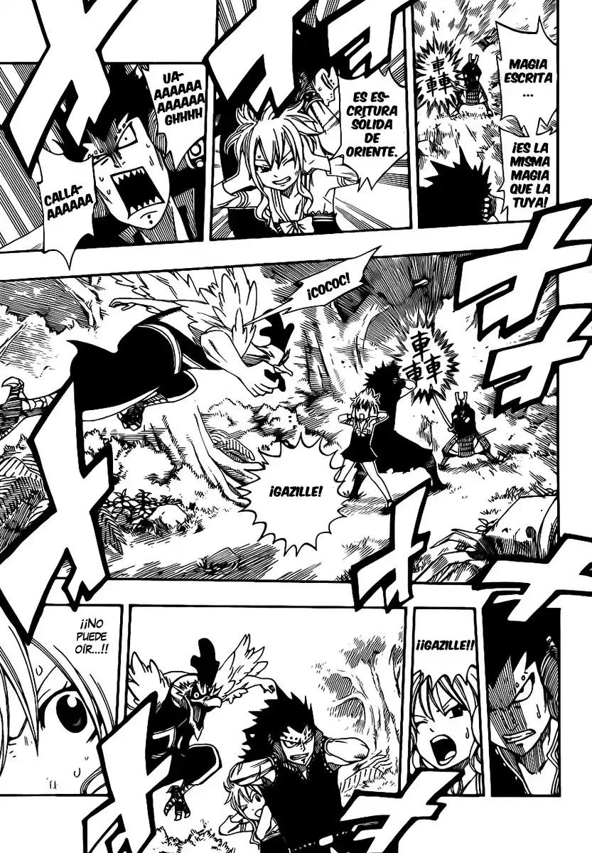 Fairy Tail Capitulo 211 página 5