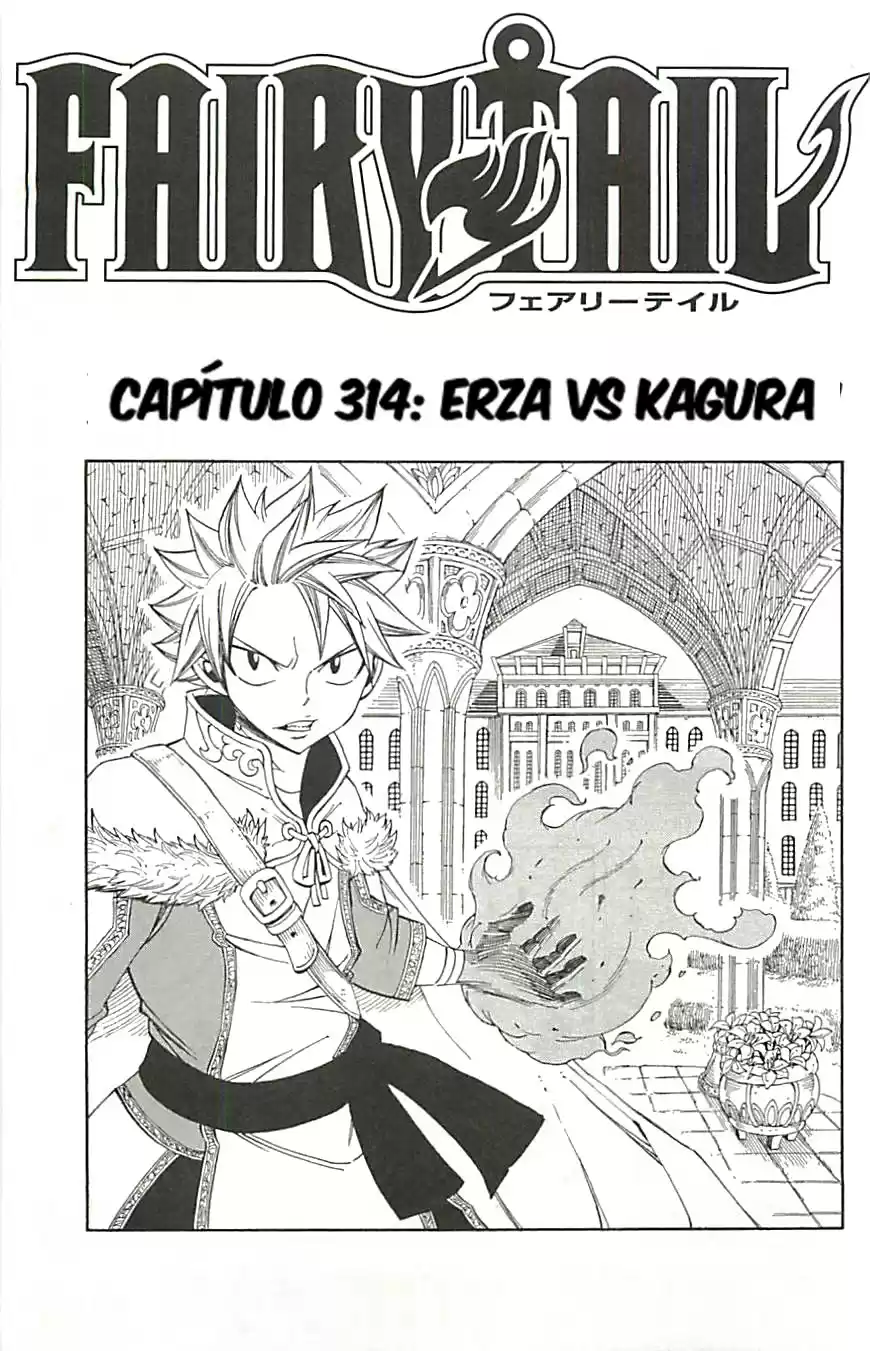 Fairy Tail Capitulo 314 página 1