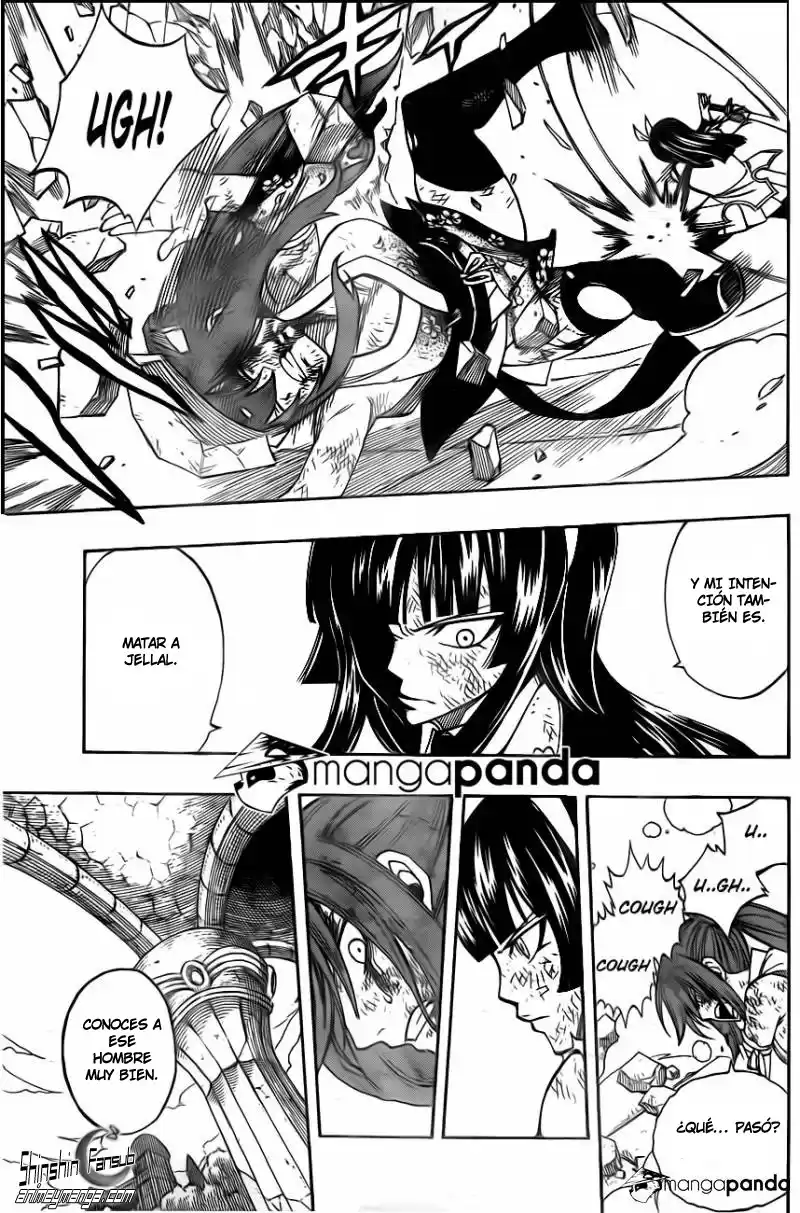 Fairy Tail Capitulo 314 página 13