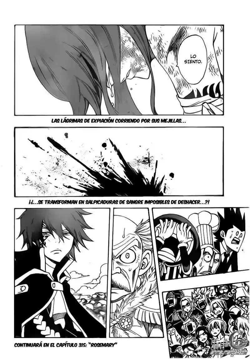 Fairy Tail Capitulo 314 página 20