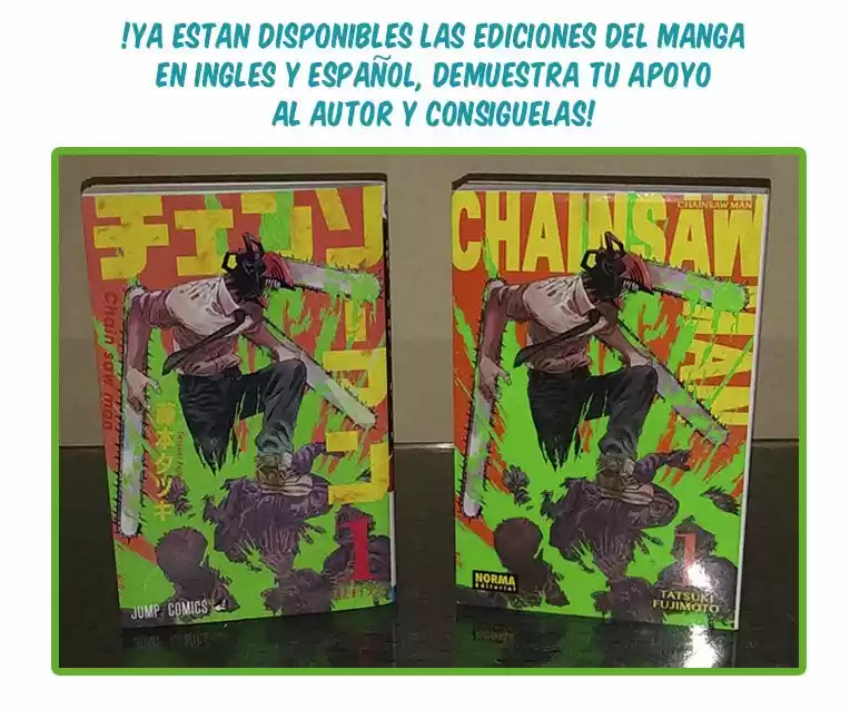 Chainsaw Man Capitulo 79.5: Vol. 9 Extras página 21