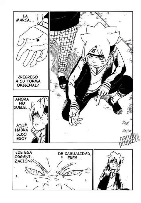 Boruto: Naruto Next Generations Capitulo 15: El Apoyo de los Shinobi página 17