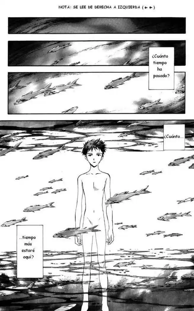 Neon Genesis Evangelion Capitulo 50 página 2