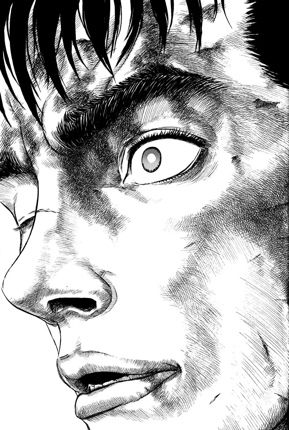 Berserk Capitulo 175: El arribo página 2