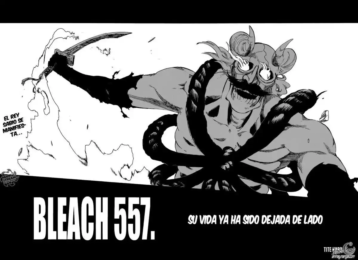 Bleach Capitulo 557 página 3