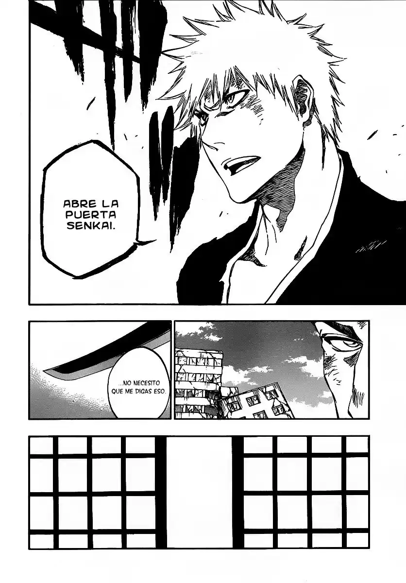 Bleach Capitulo 407 página 12