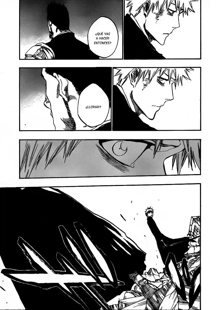 Bleach Capitulo 407 página 9