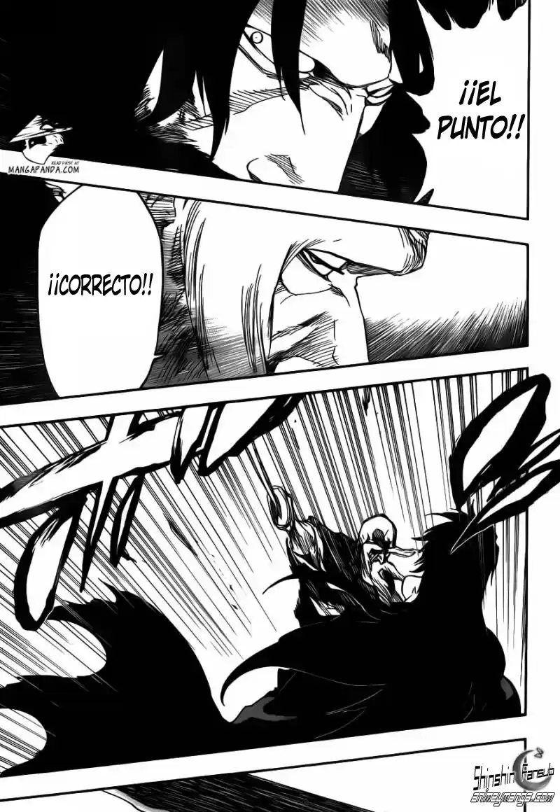 Bleach Capitulo 507 página 11