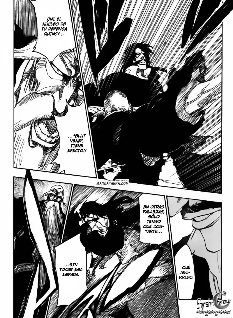 Bleach Capitulo 507 página 13