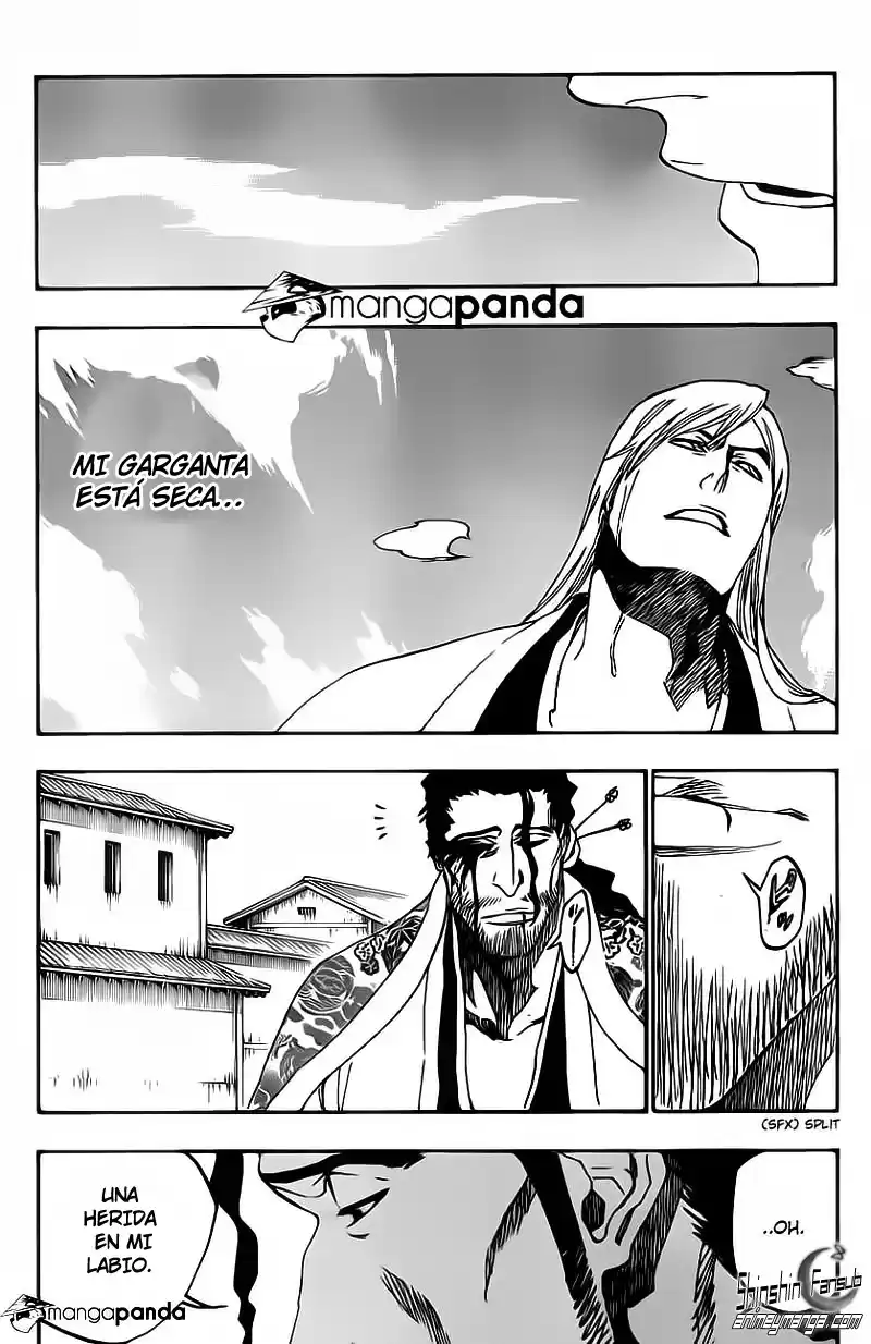 Bleach Capitulo 507 página 4