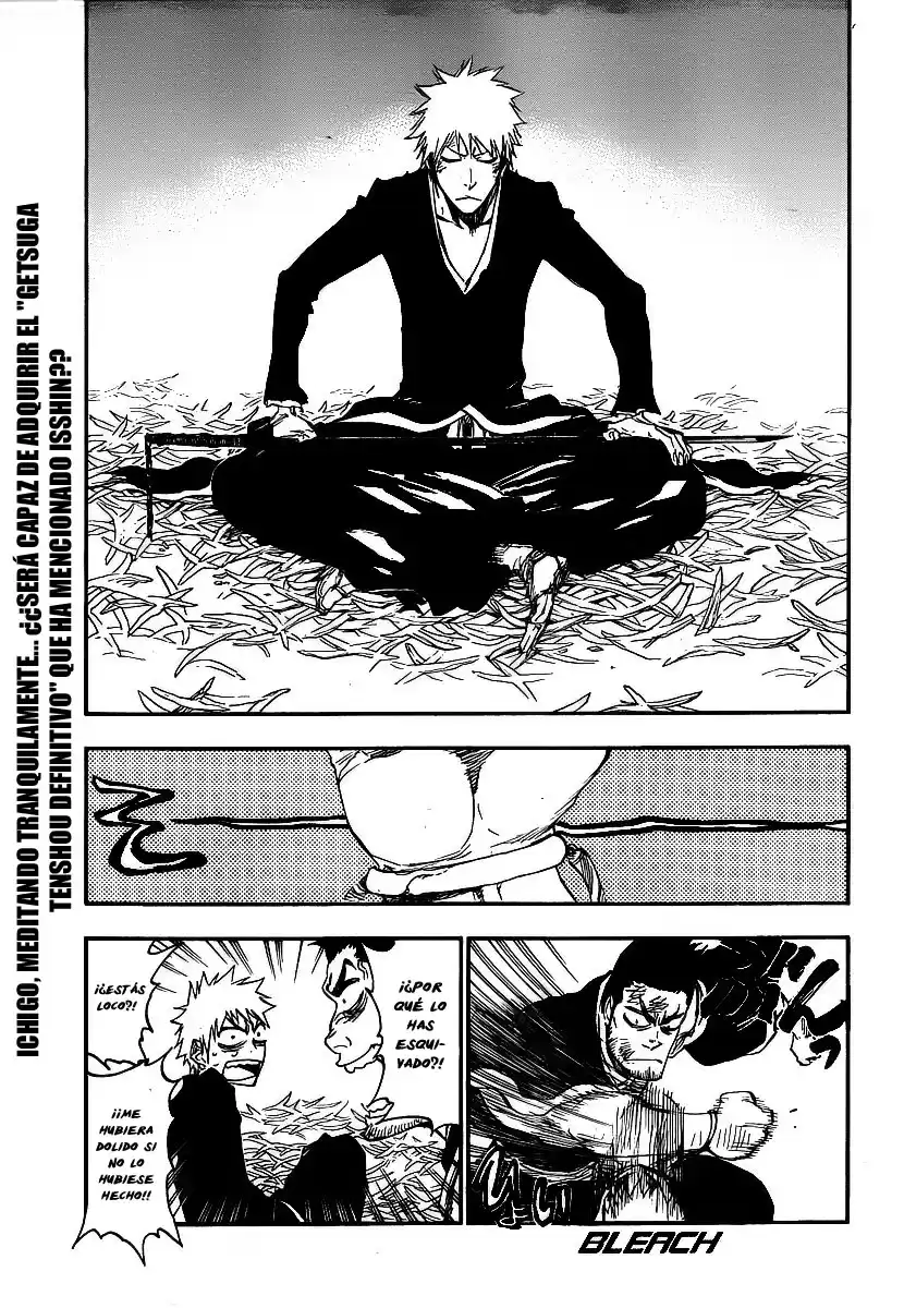 Bleach Capitulo 408 página 1