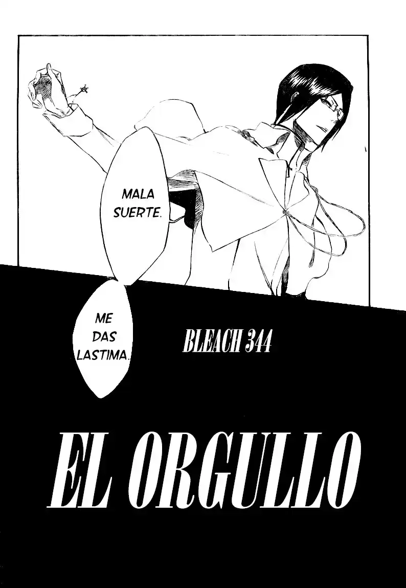 Bleach Capitulo 344 página 5