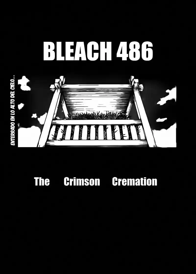 Bleach Capitulo 486 página 4