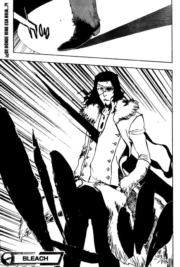 Bleach Capitulo 373 página 17