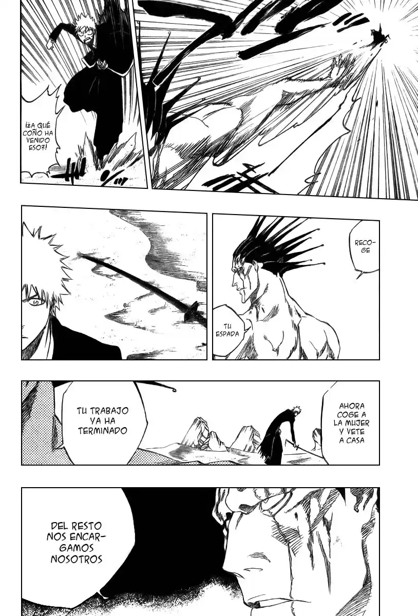 Bleach Capitulo 313 página 12