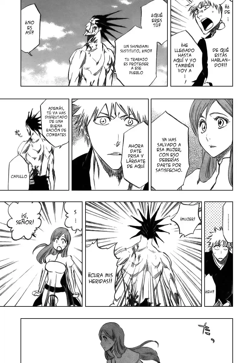 Bleach Capitulo 313 página 13