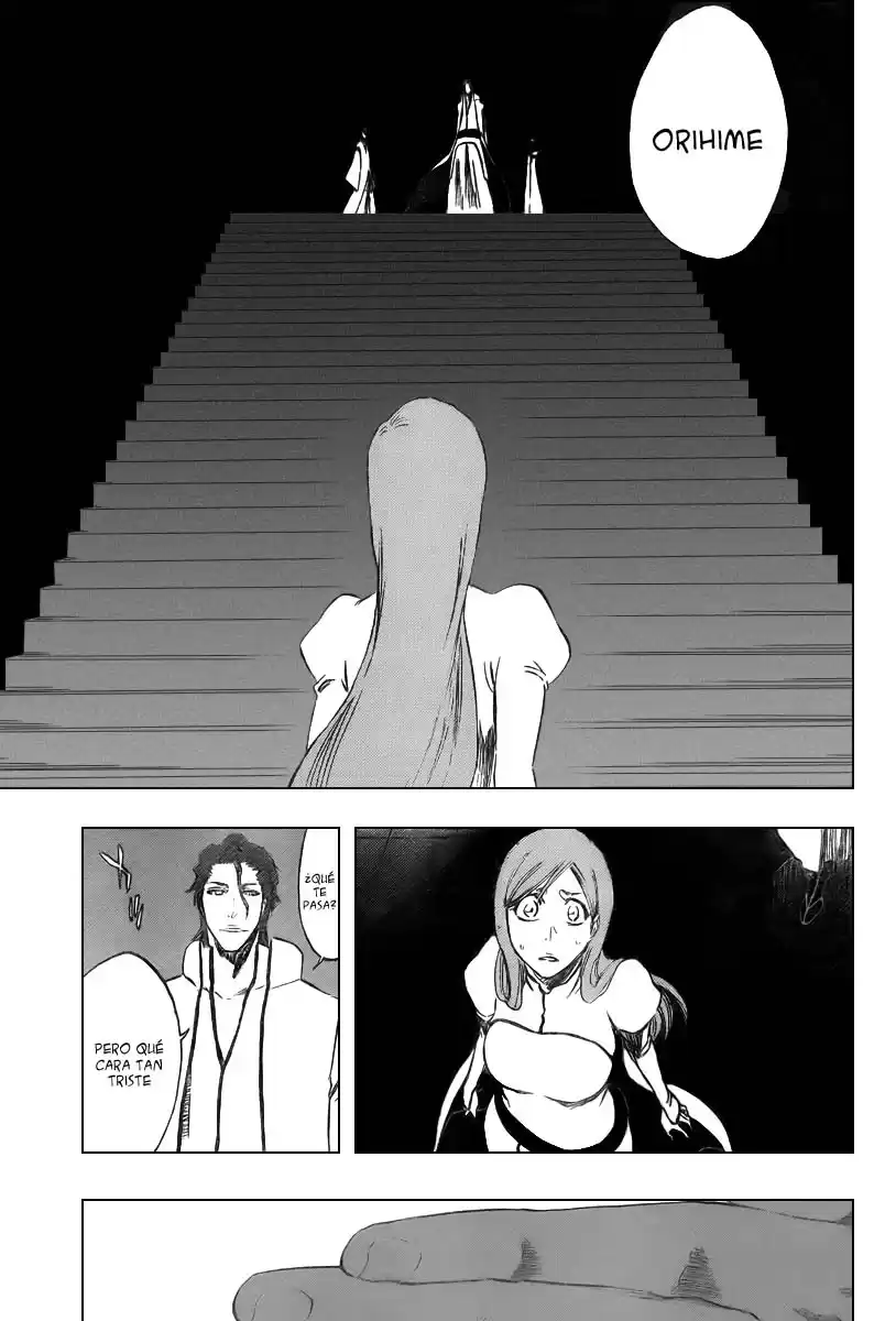 Bleach Capitulo 313 página 17