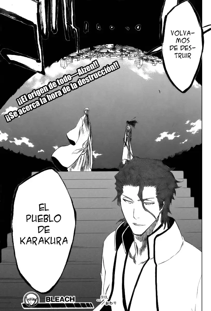 Bleach Capitulo 313 página 19