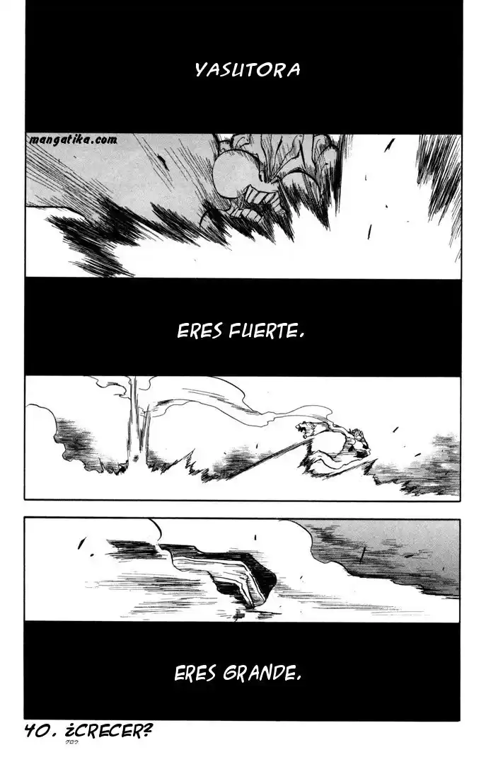 Bleach Capitulo 40 página 2