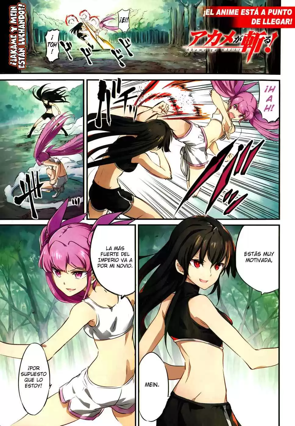 Akame ga Kill! Capitulo 50: Mata al Desastre página 2