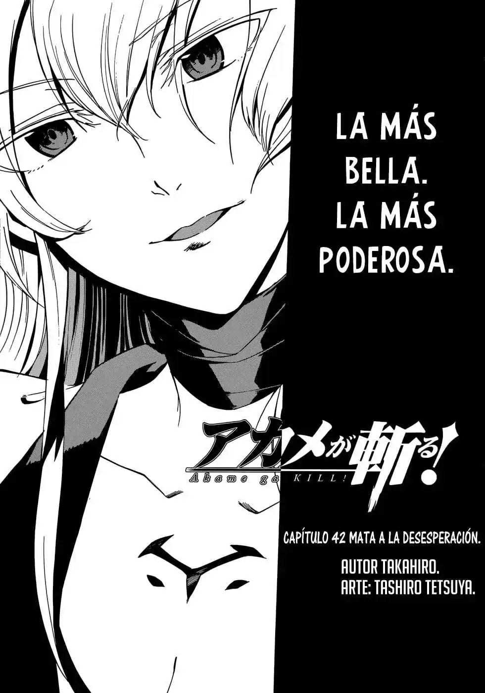 Akame ga Kill! Capitulo 42: Mata a la Desesperación (Parte Uno) página 3