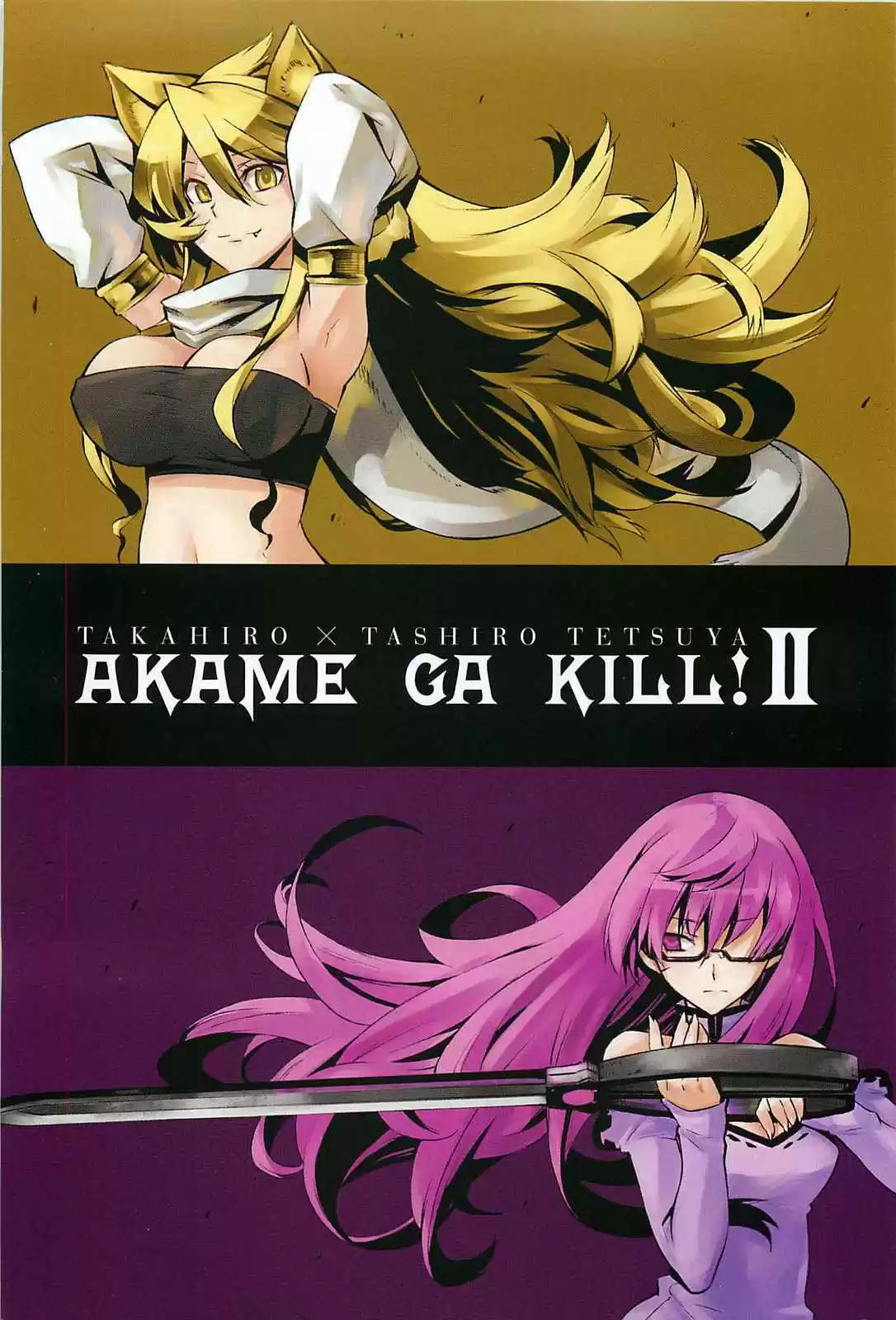 Akame ga Kill! Capitulo 5: Mata al Asesino página 2