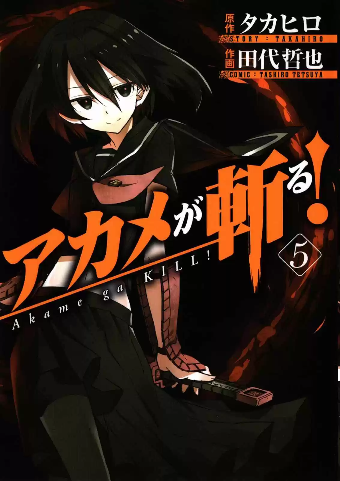 Akame ga Kill! Capitulo 20: Mata a los Intrusos página 1