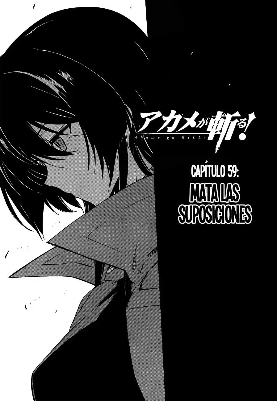 Akame ga Kill! Capitulo 59: Mata las Suposiciones página 2