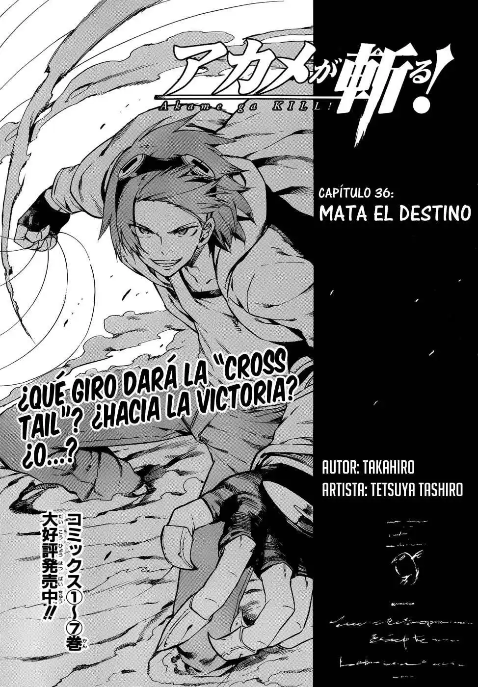 Akame ga Kill! Capitulo 36: Mata el Destino (Parte Uno) página 5