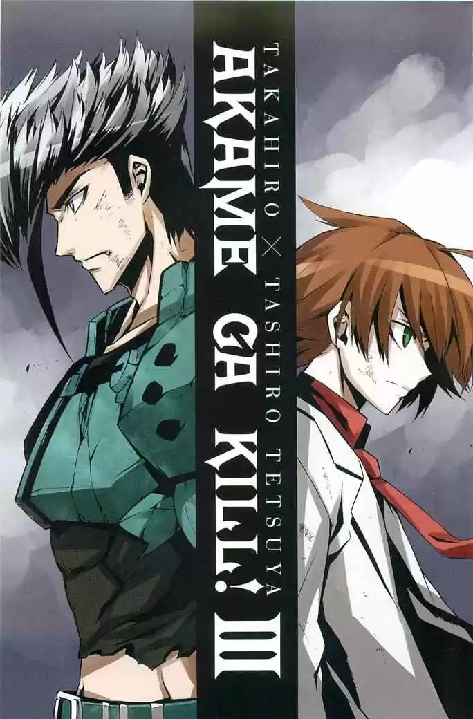 Akame ga Kill! Capitulo 10: Mata tu Tristeza página 2