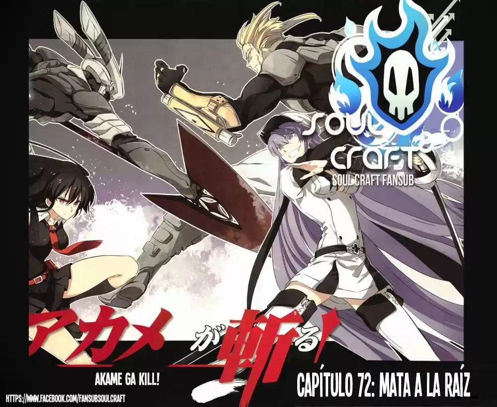 Akame ga Kill! Capitulo 72: Mata a la Raíz página 1