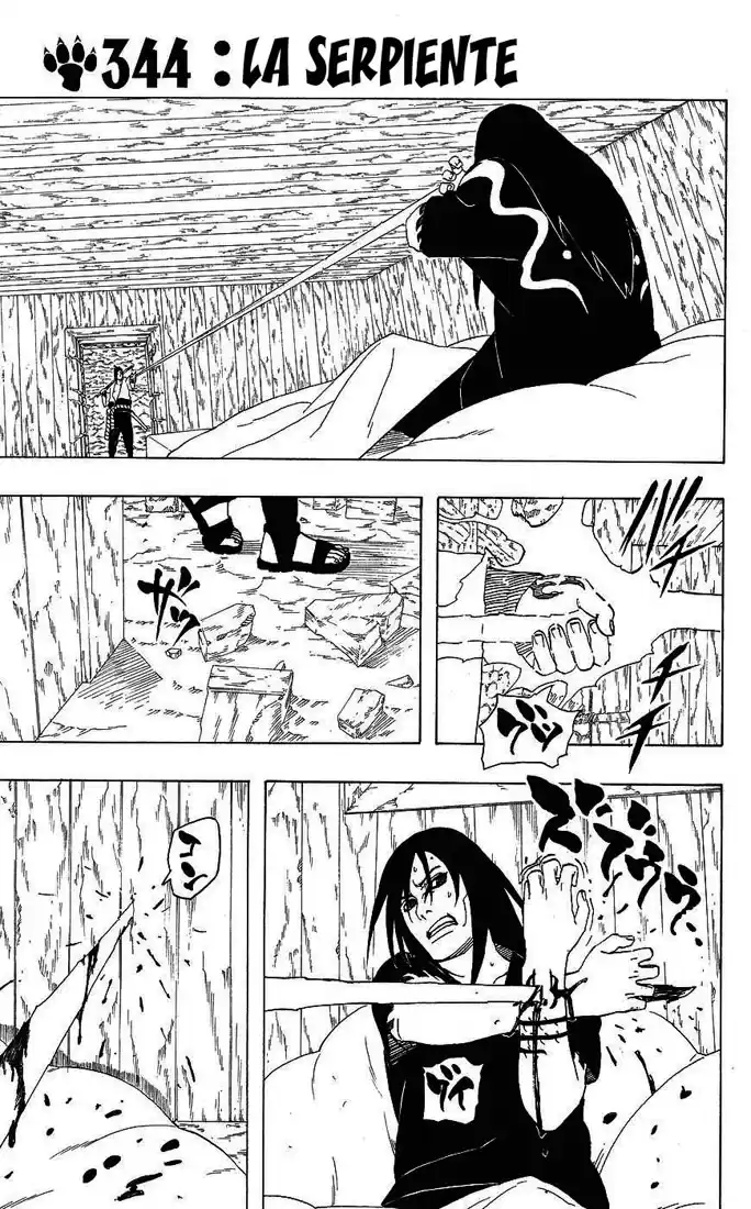 Naruto Capitulo 344 página 1