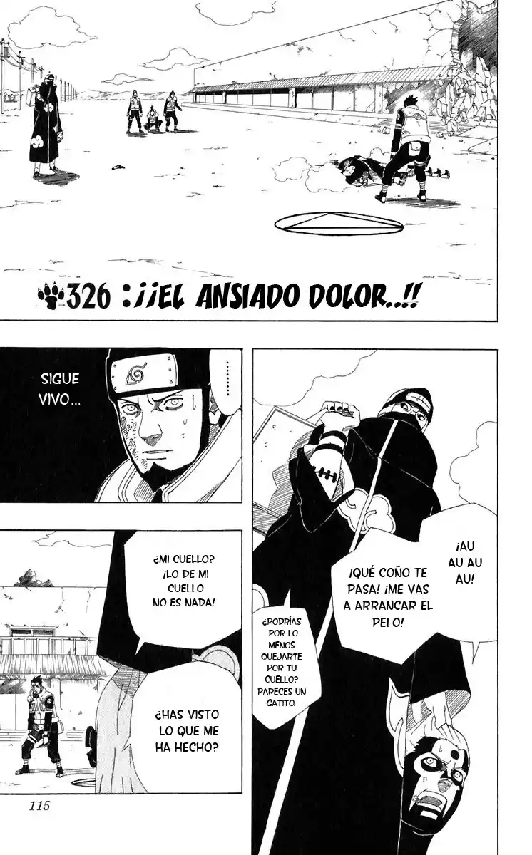 Naruto Capitulo 326 página 1