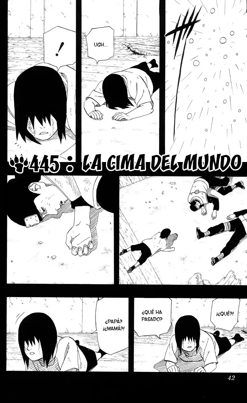 Naruto Capitulo 445 página 1