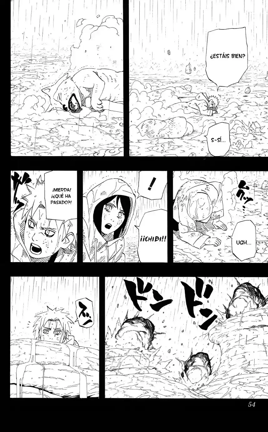 Naruto Capitulo 445 página 13