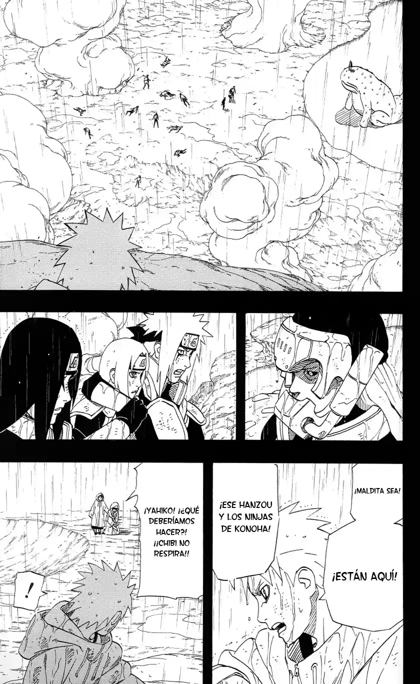 Naruto Capitulo 445 página 14