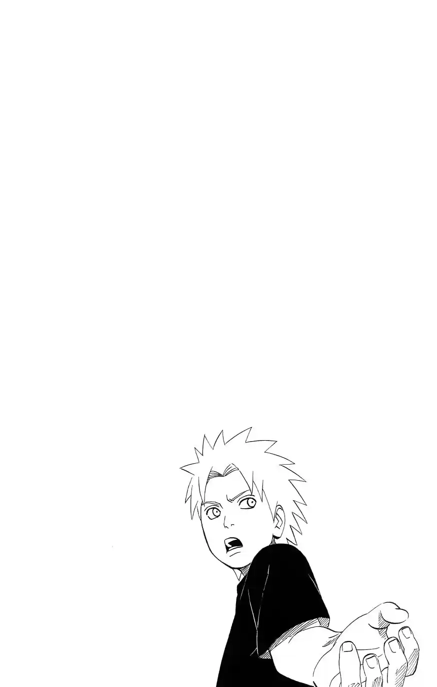 Naruto Capitulo 445 página 17