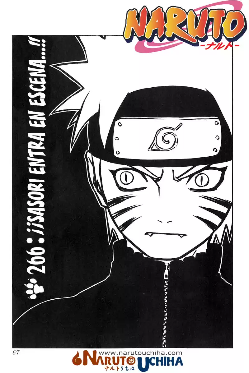 Naruto Capitulo 266 página 1