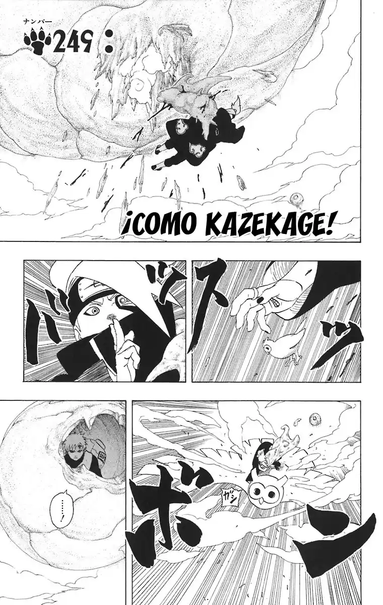 Naruto Capitulo 249 página 2