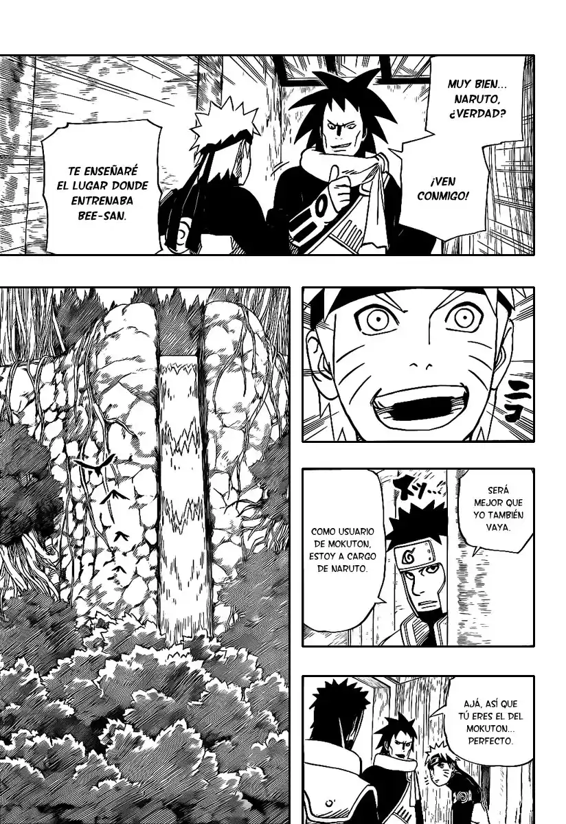 Naruto Capitulo 492 página 14